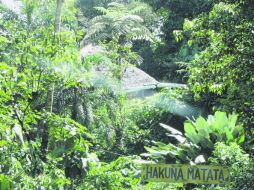 Llegar entre la selva a un lugar como este es...¡Hakuna Matata!  /