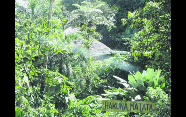 Llegar entre la selva a un lugar como este es...¡Hakuna Matata!  /