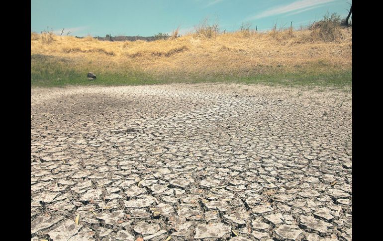 Atraso. México promulgó la primera legislación nacional contra el cambio climático en 2012.  /