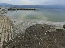 Las minutas de acuerdos sobre la laguna de Cajititlán han sido ''demoradas'', y una vez firmadas, ''incumplidas''; dice Del Toro. ARCHIVO /