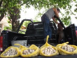 El hombre asegura que realizaba la venta de los huevos porque tiene que proveer sustento a su familia, para no robar.  /