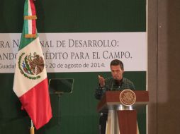 Peña Nieto anunció una inversión para el campo de 44 mil millones de pesos para este 2014.  /