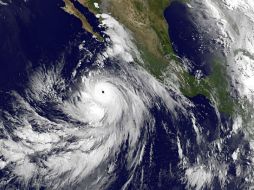 En la madrugada, el huracán de categoría cuatro se ubicaba a 315 kilómetros al sureste de Isla Socorro, Colima. AFP /