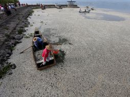 La cooperativa de pescadores de Cajititlán notificó la víspera una nueva mortandad de peces, similar a la ocurrida apenas el miércoles. EFE /