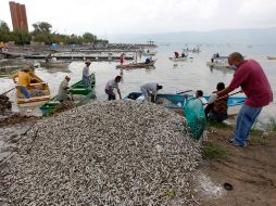 Trabajadores de varias dependencias y pescadores participan en las labores de limpieza.  /