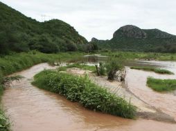 La empresa habla sobre la investigación del derrame de ácido que afectó al Río Sonora. ARCHIVO /