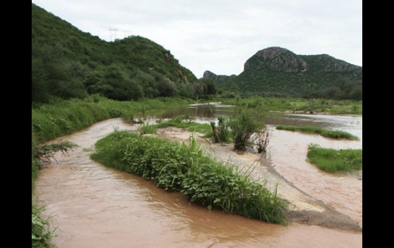 La empresa habla sobre la investigación del derrame de ácido que afectó al Río Sonora. ARCHIVO /