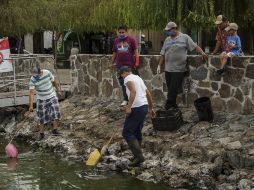 Vecinos del lugar retiran los cadáveres de peces en descomposición.  /