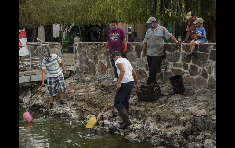 Vecinos del lugar retiran los cadáveres de peces en descomposición.  /