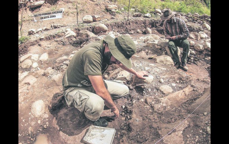 En equipo. El trabajo se está realizando en conjunto entre el INAH y el Museo de Paleontología de Guadalajara.  /