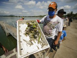 Las mesas están dispuestas a hallar causas y soluciones inmediatas al problema de contaminación en la Laguna de Cajititlán. ARCHIVO /