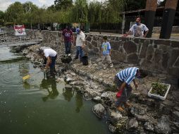 Desde hace días, autoridades y vecinos del lugar participaron en las labores de limpieza de la laguna. ARCHIVO /