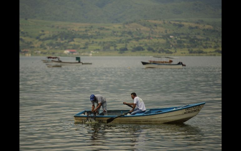 Desde el miércoles por la tarde se entrega asistencia en efectivo a más de 190 pescadores de Cajititlán. ARCHIVO /