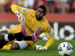 Además de las disculpas al portero del equipo paulista, la aficionada también pidió perdón al Gremio. AFP /