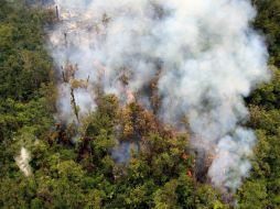 De seguir así, el flujo de lava podría alcanzar varias casas posiblemente en una semana. AP /