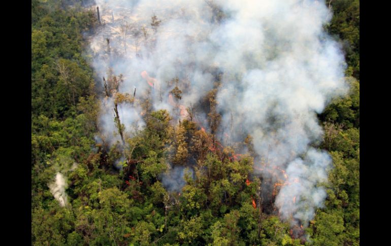 De seguir así, el flujo de lava podría alcanzar varias casas posiblemente en una semana. AP /