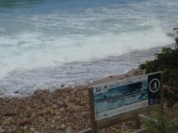 Hoy fueron reabiertas a las actividades acuáticas de las playas pese a que la altura de la ola continuaba alta. ESPECIAL /