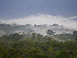 Los líderes Ashaninka protegían la región selvática de Perú fronteriza con Brasil. EFE  ARCHIVO.  /