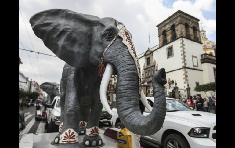 'Nosotros tenemos animales muy caros y los tenemos como debería de ser', encargado del espectáculo del circo Rolex.El INFORMADOR ARCHIVO /