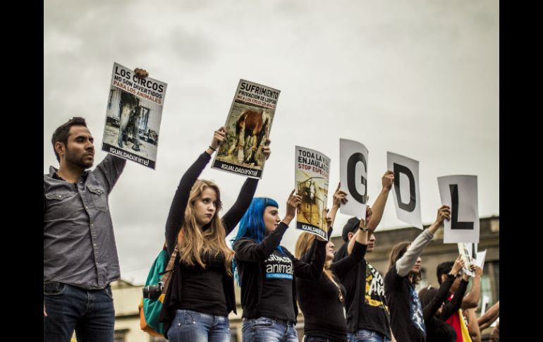 Para Igualdad Animal, el maltrato comienza desde que se enjaula a los ejemplares silvestres. EL INFORMADOR  A. Hernández  /