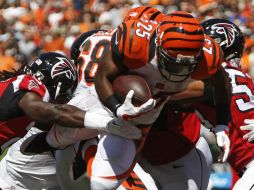 El corredor de Cincinnati Giovani Bernard (25) logra touchdown de cuatro yardas en la primera mitad del partido. AP  F. Victores  /