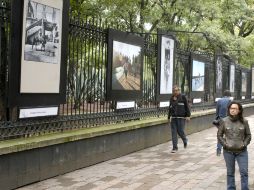 La exposición se inaugurará este jueves a las 19:30 horas, en el bosque de Chapultepec. EL INFORMADOR / ARCHIVO