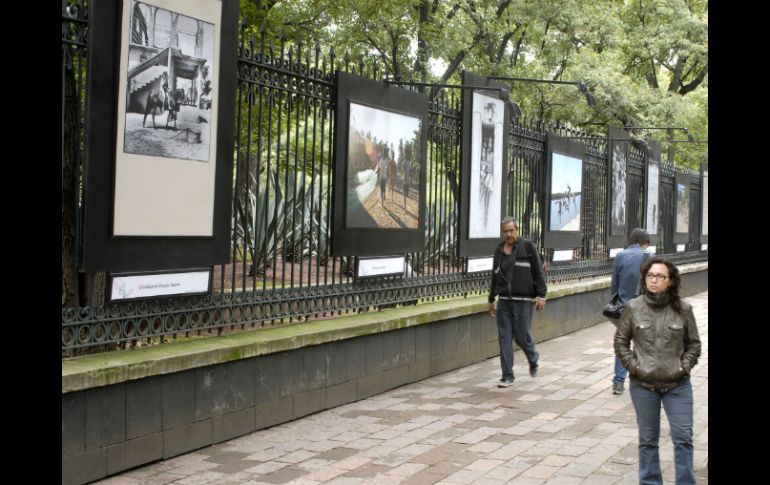 La exposición se inaugurará este jueves a las 19:30 horas, en el bosque de Chapultepec. EL INFORMADOR / ARCHIVO