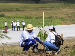 Estudiantes y empleados reforestan zona de Tala, donde cruza el Macrolibramiento Sur. EL INFORMADOR / M. Vargas