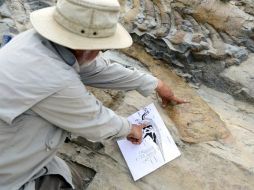 Paleontólogos del Museo del Desierto, del Museo de Historia Natural de Karlsruhe y de la Universidad de Heidelberg investigan la zona. NTX / ARCHIVO