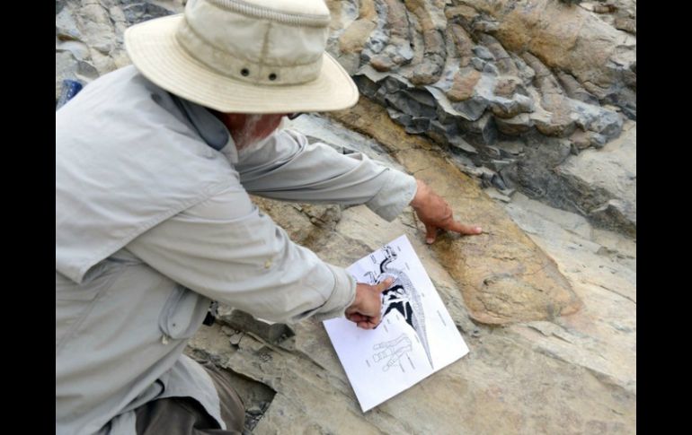 Paleontólogos del Museo del Desierto, del Museo de Historia Natural de Karlsruhe y de la Universidad de Heidelberg investigan la zona. NTX / ARCHIVO