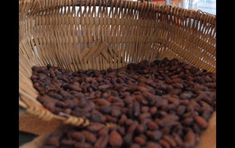 El cacao en grano es uno de los productos más exportados de Ecuador a México. EFE / ARCHIVO.