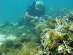 El pecio se encontraba 'demasiado lejos de la orilla' como para poder ser el de la 'Santa María'. EFE / ARCHIVO