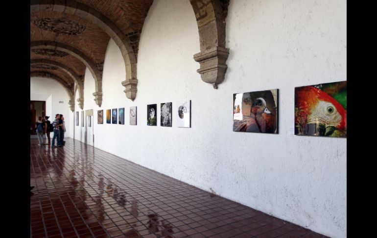 La muestra de los 19 participantes se exhibe en el Ex-Convento del Carmen. EL INFORMADOR / ARCHIVO