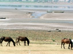 Se busca concreta la participación de la sociedad en la atención y solución de la problemática de contaminación del embalse. EL INFORMADOR / ARCHIVO