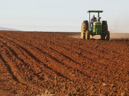 Autoridades deben crear un entorno propicio para que  agricultores familiares inviertan en tecnología sostenible. EL INFORMADOR / ARCHIVO