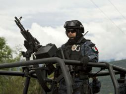 Con los recientes hechos violentos registrados en Guerrero, la actividad económica de la Entidad ha caído en más de 40%. AFP / R. Schemidt