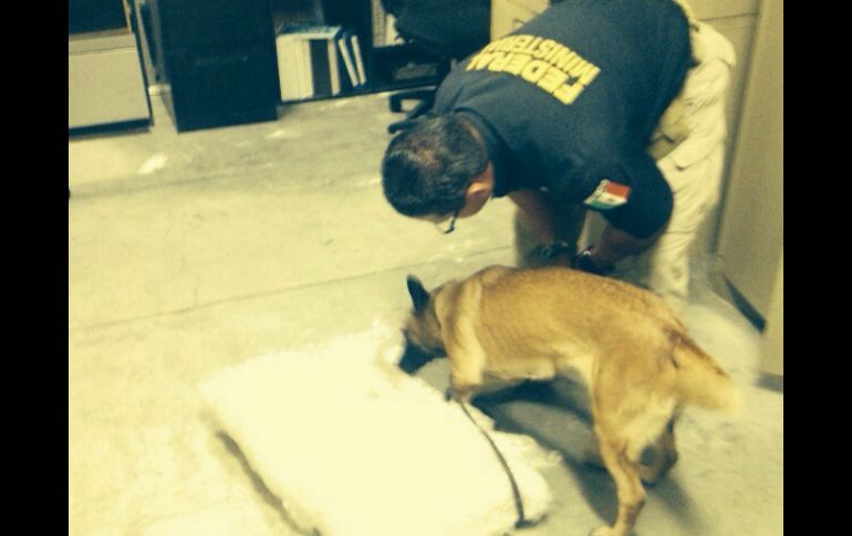 Las autoridades acompañadas de un perro detector acudieron al aeropuerto donde encontraron el paquete. EL INFORMADOR / S. Blanco