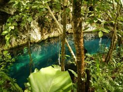 Piden a autoridades ser más cuidadosos de la entrada de grupos de extranjeros a cenotes, cuevas inundadas, semihúmedas y secas. NTX / ARCHIVO