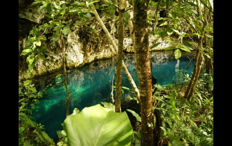 Piden a autoridades ser más cuidadosos de la entrada de grupos de extranjeros a cenotes, cuevas inundadas, semihúmedas y secas. NTX / ARCHIVO