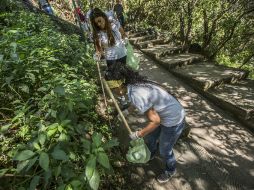 Activistas realizan labores de limpieza en la Barranca de Huentitán. EL INFORMADOR / A. Hernández