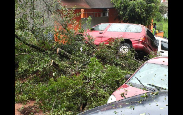 Las precipitaciones del 13 al 15 de octubre dañaron propiedades en la región. NTX / ARCHIVO