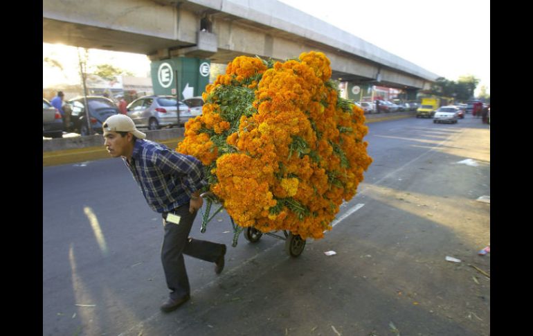 Cempasúchil.  La flor se produce en el DF, Puebla, Oaxaca y el Estado de México. AP / ARCHIVO