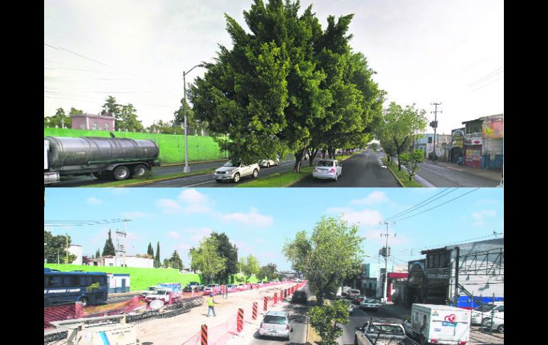 EL RECUERDO. Los árboles que hicieron honor al nombre de la Avenida Laureles son ya un recuerdo. EL INFORMADOR / GOOGLE / A. García