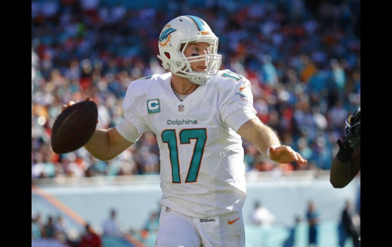 Tannehill completó 24 de 34 intentos, mientras que lanzó pases de touchdown a Charles Clay, Rishard Matthews y Jarvis Landry. AFP / C. Trotman