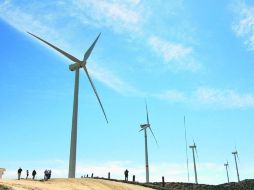 Tecnología verde. Una granja eólica, caracterizada por atraer fuertes vientos. NTX /