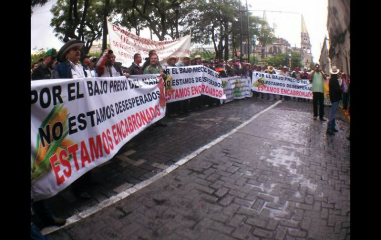 Productores de maíz protestan fuera del Congreso del Estado de Jalisco. EL INFORMADOR / A. García