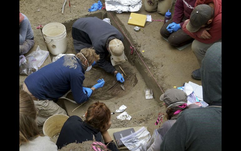 La alteración de entierros ancestrales es polémica, pero podría brindar importantes enlaces a la historia de los indios atabascas. AP / University of Alaska Fairbanks