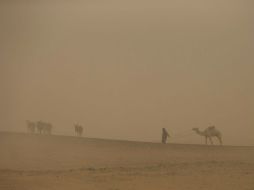 Sequías, cultivos perdidos, invasiones de langostas y conflictos políticos llevan al país africano a la desnutrición. AP / ARCHIVO