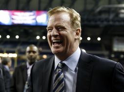 La actuación de Goodell en el caso de Ray Rice fue muy criticada. EFE / J. Kowalsky