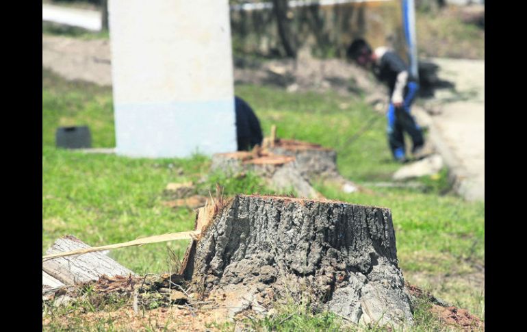 Entre los cinco principales municipios de la metrópoli, 40% de vive en zonas donde no se alcanza el parámetro mínimo de áreas verdes. EL INFORMADOR /